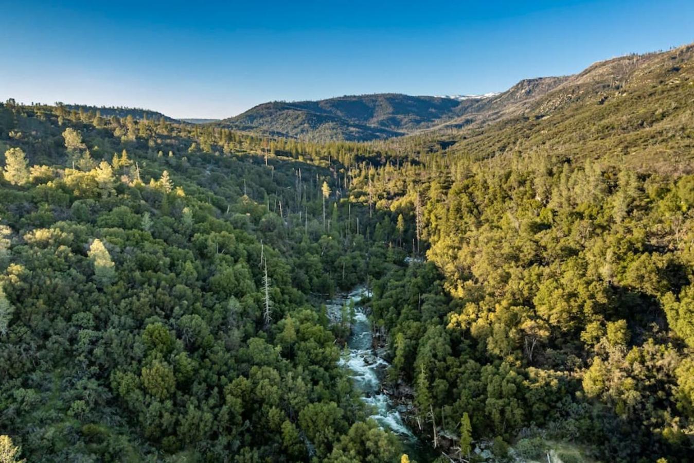 Sierra Vista Lookout Lodge With Creek, Waterfall And Waterholes, Minutes From Bass Lake And Yosemite South Gate North Fork Extérieur photo